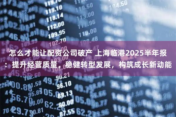 怎么才能让配资公司破产 上海临港2025半年报：提升经营质量，稳健转型发展，构筑成长新动能