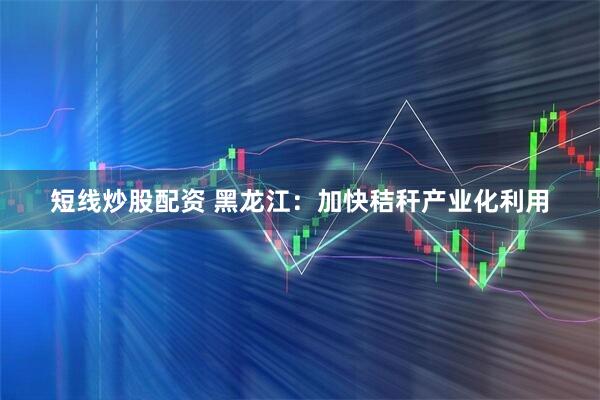 短线炒股配资 黑龙江:加快秸秆产业化利用