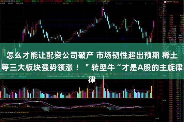 怎么才能让配资公司破产 市场韧性超出预期 稀土等三大板块强势领涨 ！＂转型牛“才是A股的主旋律